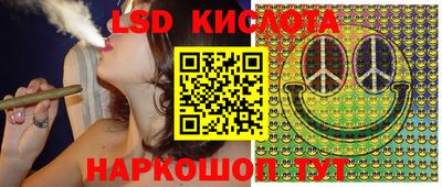 стаф Абакан