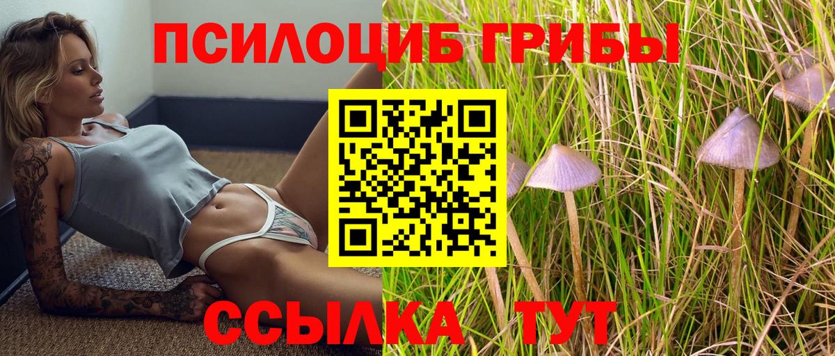 Лсд 25  Вход с VPN  Меф МЯУ МЯУ кристаллы  Марихуана  Александров  Гашиш  ГАШИШ 
