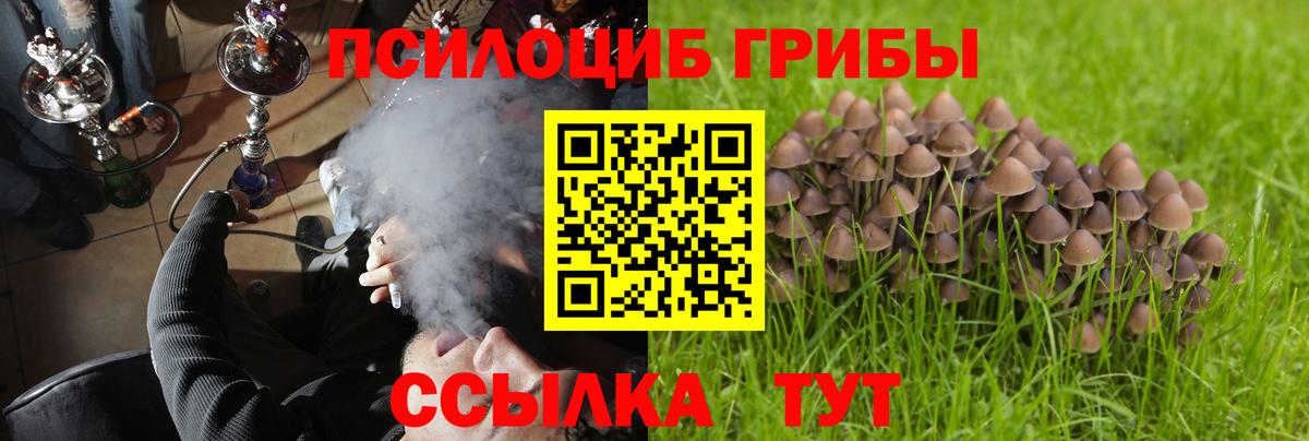Галлюциногенные грибы мицелий Александров